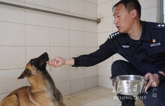 北京警犬训练基地用上了哪些高科技？现场独家揭秘