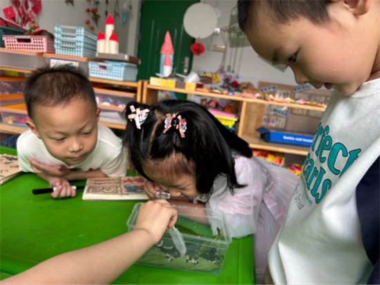 龙南市第三公立幼儿园开展生命教育课程活动