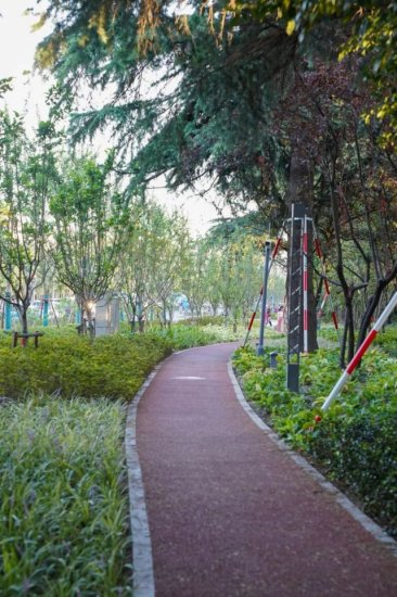 2020年度上海市绿化特色道路新鲜出炉，虹口这条路获评！