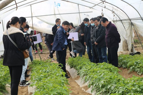 蔬菜系一行专家赴湖北省云梦县进行社会服务工作