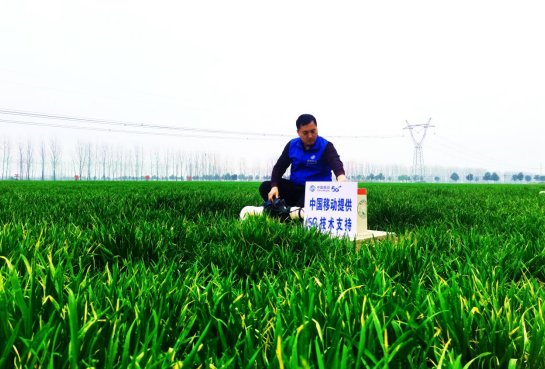 <em>河南</em>移动全力建设高标准农田 跑出豫州腹地乡村振兴“加速度”
