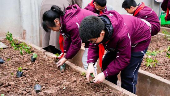 “植初心 种未来”——江北区新村国奥小学开展爱绿护绿实践活动