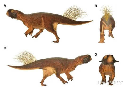 五彩斑斓的<em>恐龙</em>，这些颜色是科学家想象出来的吗?