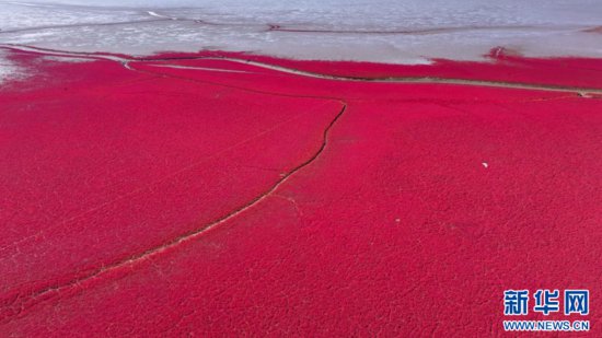 云瞰盘锦红海滩：一望无际的“红色<em>海洋</em>”