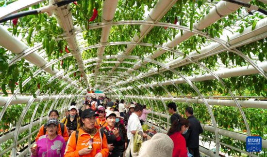 第二十五届中国（<em>寿光</em>）国际蔬菜科技博览会在山东潍坊举办