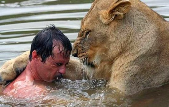 男子和狮子一起泡澡，画面看着惊险，这是在用生命和狮子玩耍