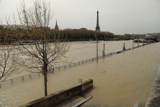 巴黎正与时间赛跑：<em>塞纳河</em>水质饱受争议，真能游泳吗？