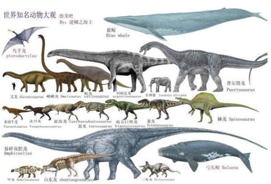<em>阿根廷</em>又现巨大<em>恐龙</em>化石，<em>比</em>巴塔哥巨龙<em>更大</em>，或是已发掘最大...