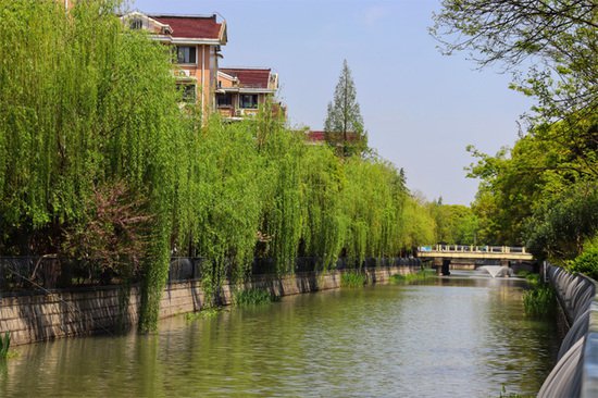 春光里，长宁这条河道的美超乎你的想象！