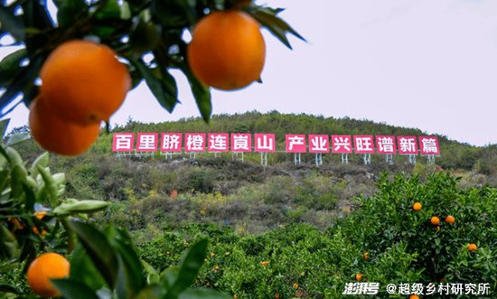 <em>袁隆平</em>爷爷称赞“好吃”的崀山脐橙，来自湖南这个低调的县城