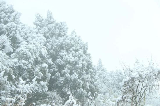 不是“尔滨”去不起，而是今天“家门口”的雪景更宠你！
