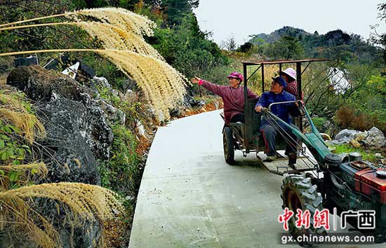桂林灌阳县打造村级交通“血管细脉”助推乡村振兴