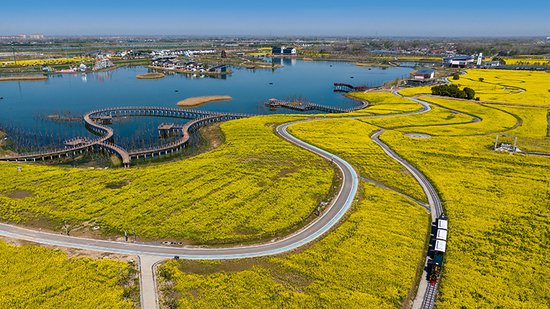 <em>六安金安</em>：净化淠河水 打造城市“生态绿肾”