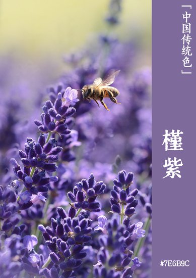 紫色魅力：李白为什么爱紫色｜文物中的中国传统色