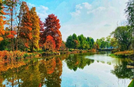 南京有许多著名的湖泊，要说“绝”，前湖和燕雀湖不得不提