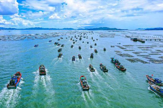广东沿海经济带最东端的潮州如何“筑梦蔚蓝”？