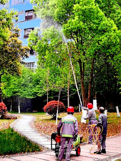 鹅浦公园：喷药防治植物病虫害
