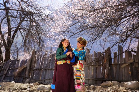 定了，定了，西藏林芝各区县的桃花节开幕式时间、地点定了