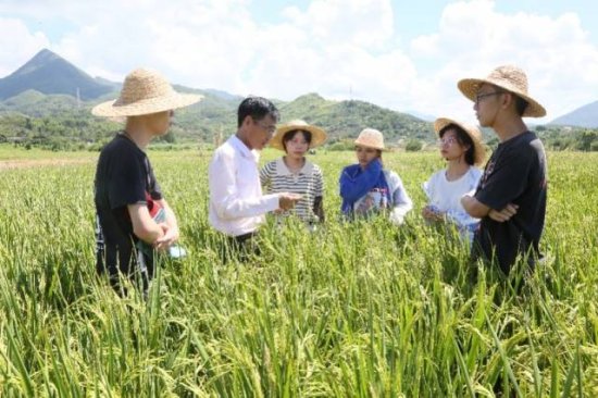 惠州农科所联合大学生开展“三下乡”，送技术送种子送肥料