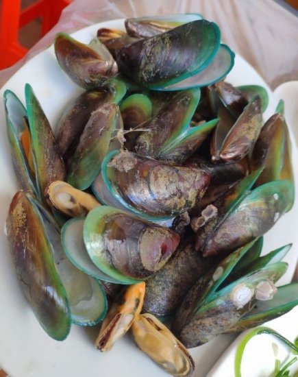 沿海地区人们喜爱的7种<em>海鲜</em>，味美价廉成日常菜，而内陆却难寻