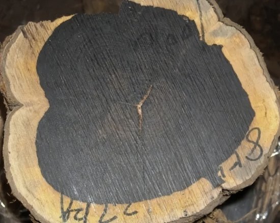 <em>世界上</em>10<em>种</em>最硬的木材，你知道几种？