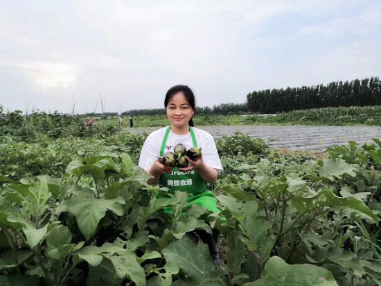 女大学生北京种芋头14年，入选“十佳创业女庄主”