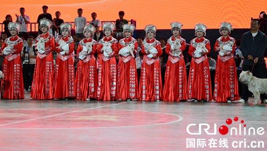贵州省第二届“美丽乡村”篮球联赛总决赛落幕 黔东南夺冠
