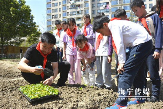 浙江海宁： 成立“小花匠”社团 这所小学有了专属劳动基地