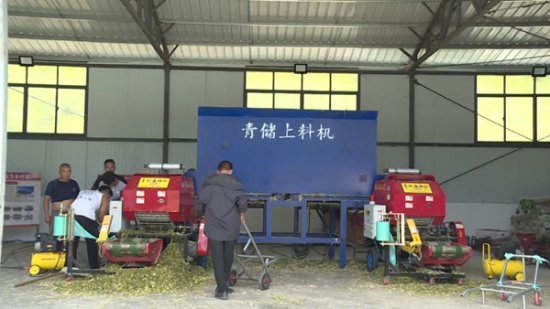 云南香格里拉：种养双赢实现农民增收