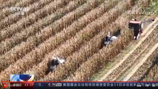 丰收中国 | 金豆银豆长势喜人 百万亩大豆玉米收割忙