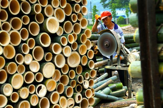 “以竹代塑”三年行动启动 减少塑料污染<em> 小竹子</em>如何长出大产业？