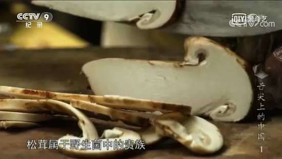 天冷吃火锅，每次必点的菌菇拼盘究竟吃的是啥？