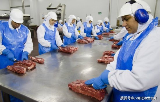 全球顶尖<em>猪肉</em>生产商发布业绩报告，三分之一的肉类<em>出口</em>到了<em>中国</em>...