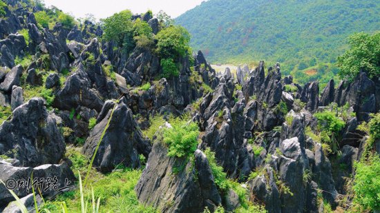 贺州玉石林：世界上已知唯一的汉白玉石质的石林