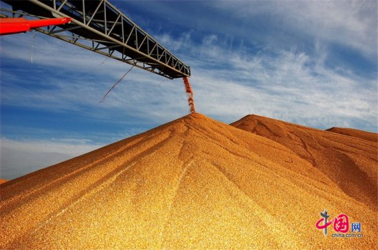 通辽市玉米深加工产品年出口创汇10亿元