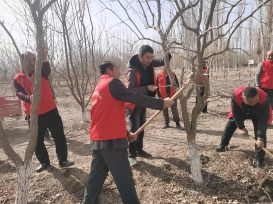 新和县渭干乡：村组志愿服务春耕忙 助农劳作暖民心
