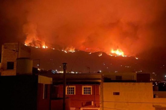 西班牙<em>特内里费</em>岛发生森林火灾 过火面积超1800公顷