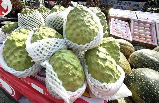 为卖这种水果到大陆，台湾农民积极“上课”