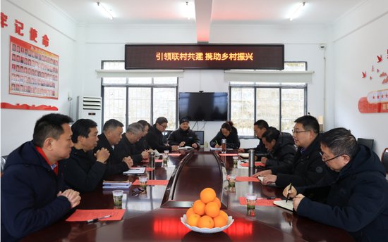 武汉工商学院：党建引领科技支撑 多维赋能乡村振兴