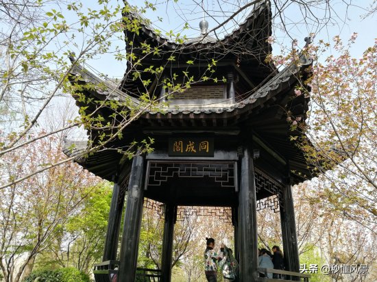湖北赏花地图 | 它是武汉最大的山体公园，那里百花盛开美不胜收