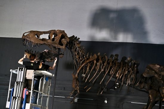香港科学馆将举行“八大·寻龙记”大型恐龙展览