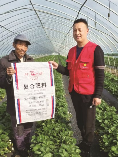 江苏中农新型肥料有限公司：为农服务 助力丰收“莓”景别样红