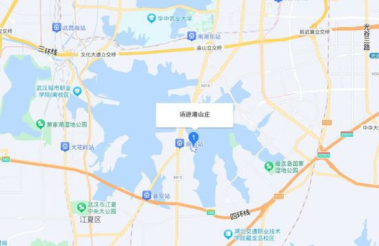 <em>武汉市</em>汤逊湖畔11栋湖景别墅被拍卖，被一人捡漏1600万全买下