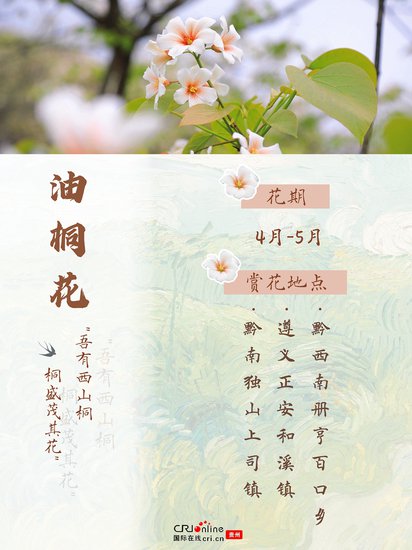 贵州春夏赏花地图 | 带你走进缤纷花海的奇幻之旅
