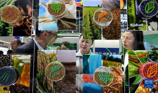 新华全媒＋丨绿色农业供应链 展现未来新图景