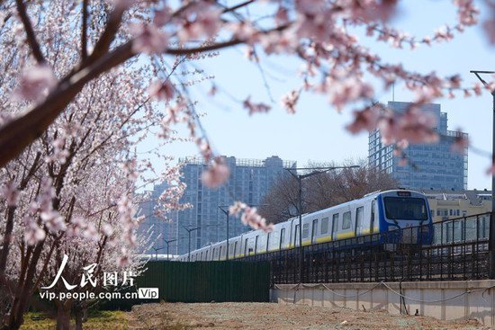 <em>北京</em>：开往春天的列车