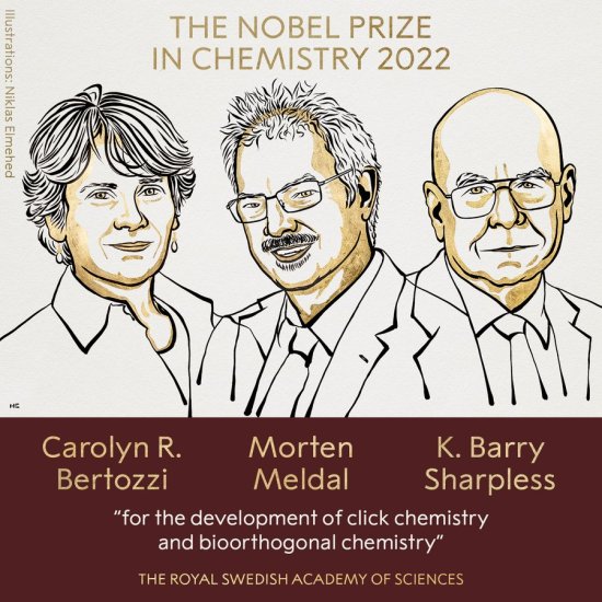 刚刚揭晓！三位科学家获得2022年诺贝尔化学奖