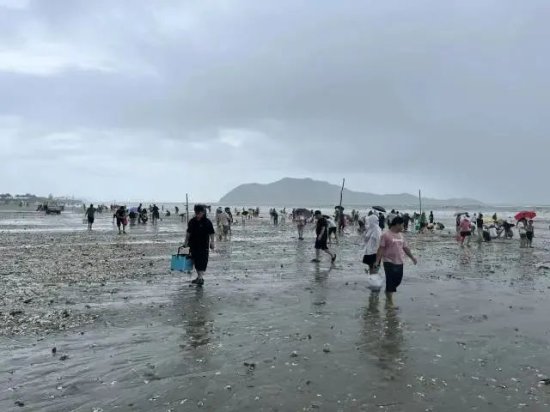 生蚝、青口贝、海蛎……广东一地海滩突现大量海鲜！<em>什么原因</em>？