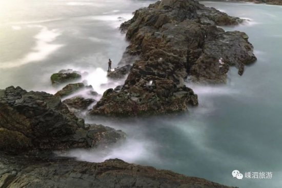《水下中国》嵊泗拍摄，不仅遇见带鱼，还有<em>体型最大的水母</em>！