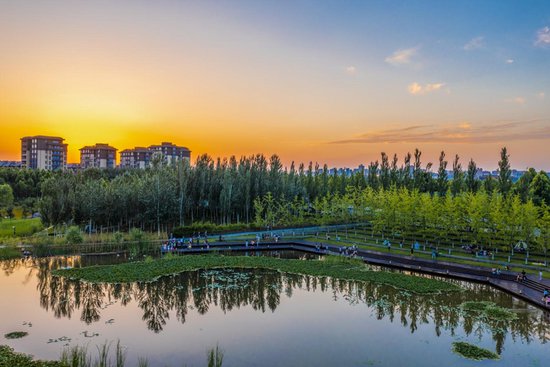 西咸新区沣西新城：推动绿色发展 建设人与自然和谐共生的现代化...